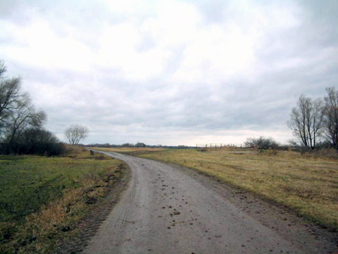 Foto 20